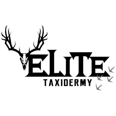 Graphic Design Portfolio